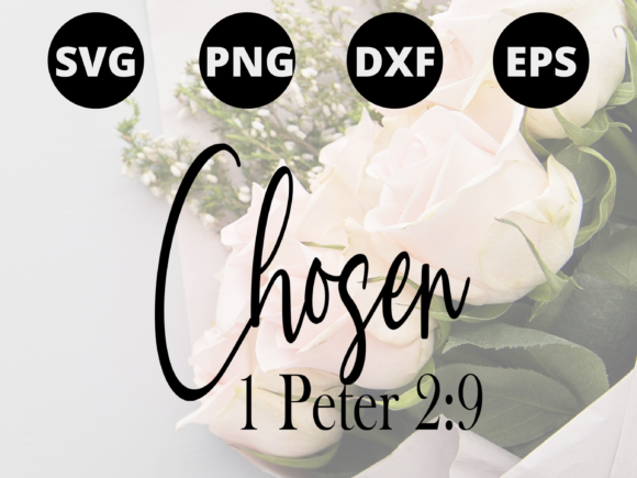 Chosen: A Bold Serif for 1 Peter 2:9 Designs